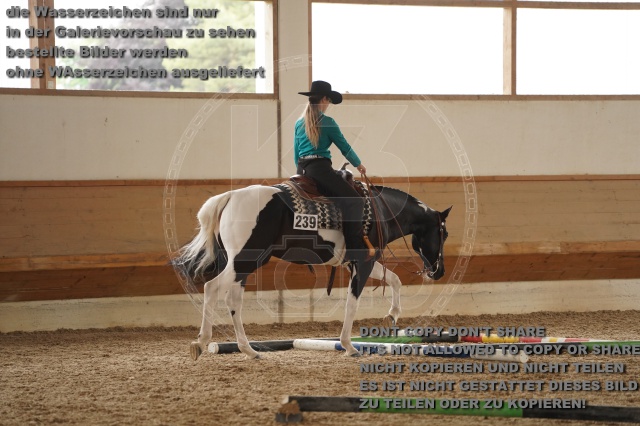 s_A_901788.JPG